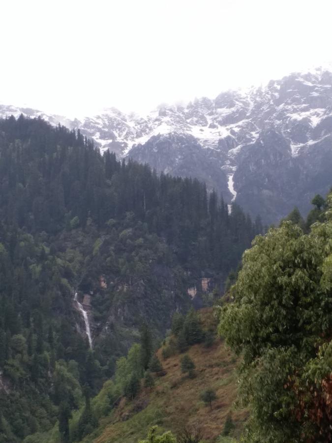 Hotel Seven Hills Manali Экстерьер фото